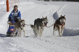 Kandersteg 2013